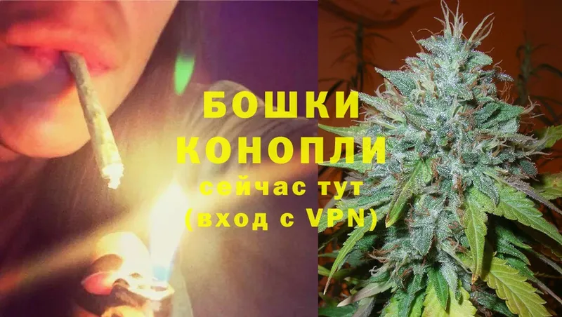 цена наркотик  Касимов  Каннабис SATIVA & INDICA 